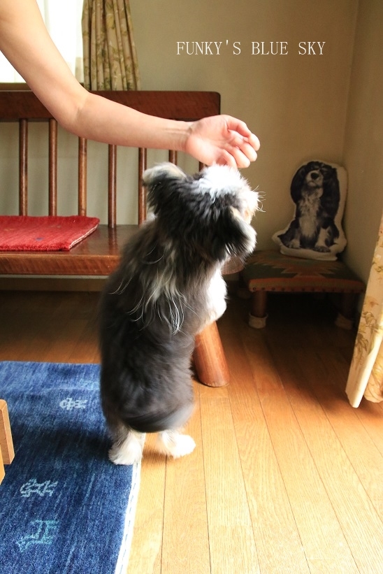 c0145250_10355348.jpg
