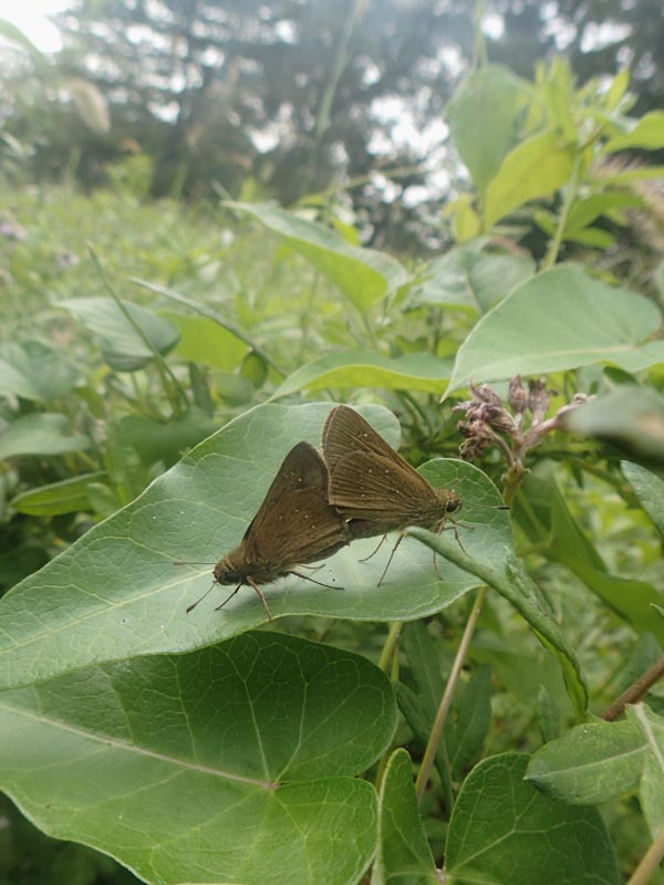 c0045352_18102577.jpg