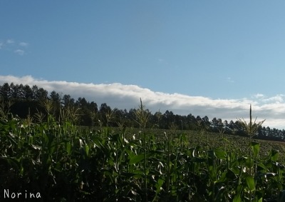 e0326953_19321637.jpg