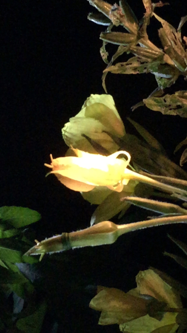 d0055259_00284080.jpg