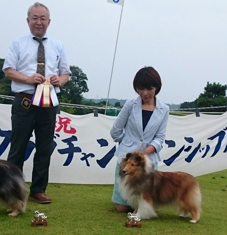 9.6 JCC富山展_a0139367_21364796.jpg