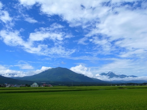 a0232368_07283894.jpg