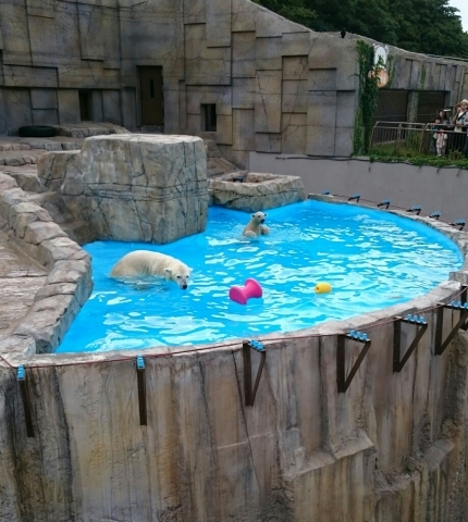 c0311170_09084052.jpg