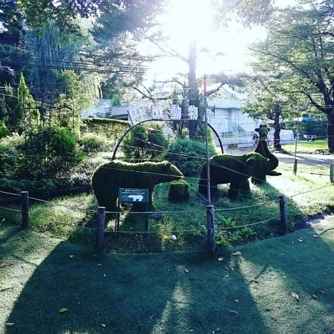 c0311170_09084985.jpg