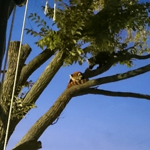 c0311170_09085757.jpg