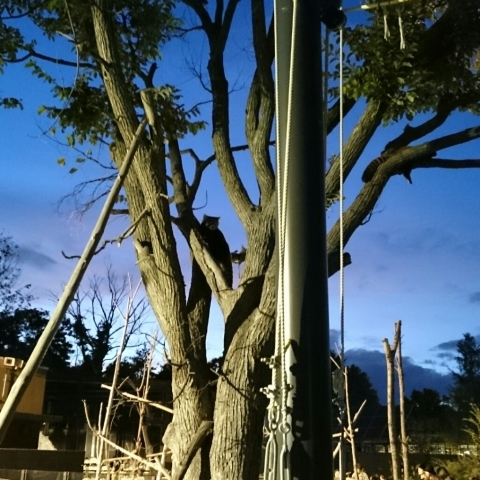 c0311170_09090231.jpg