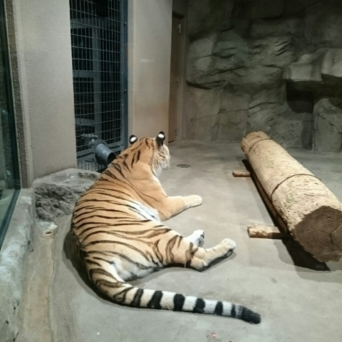 c0311170_09090679.jpg