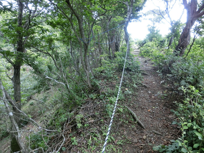 b0185573_11241850.jpg