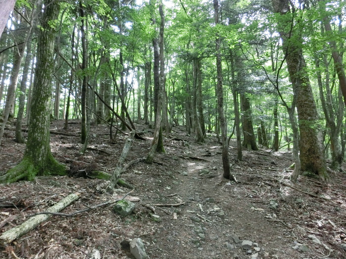 b0185573_1141246.jpg