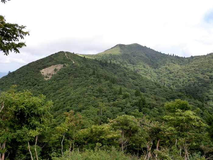 b0185573_1145911.jpg