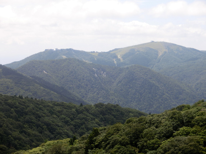 b0185573_15433696.jpg