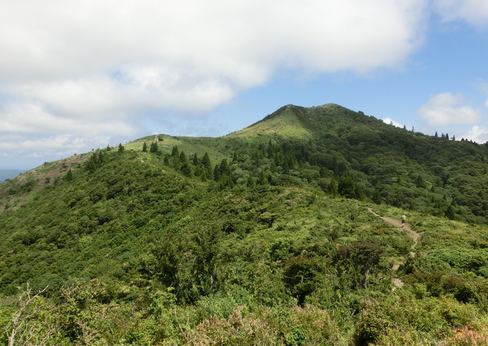 b0185573_15584941.jpg