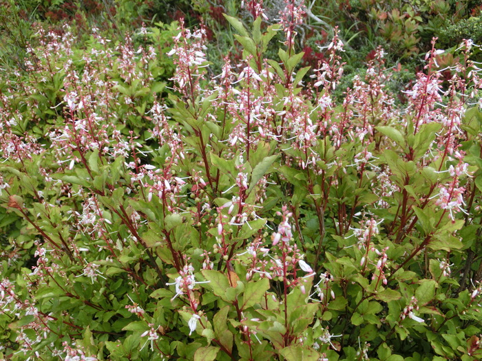 b0185573_163741.jpg