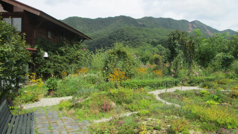 d0159273_12425164.jpg