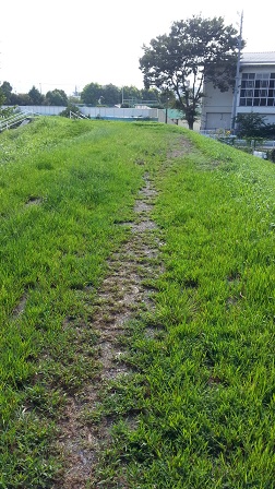 f0228680_8502545.jpg