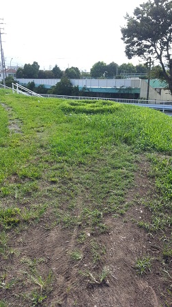 f0228680_8514466.jpg