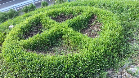 f0228680_8521789.jpg