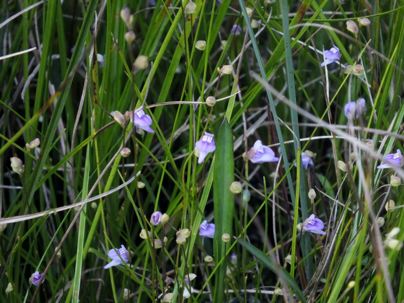 f0082181_2294340.jpg