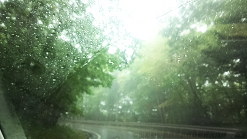 b0003483_16373477.jpg