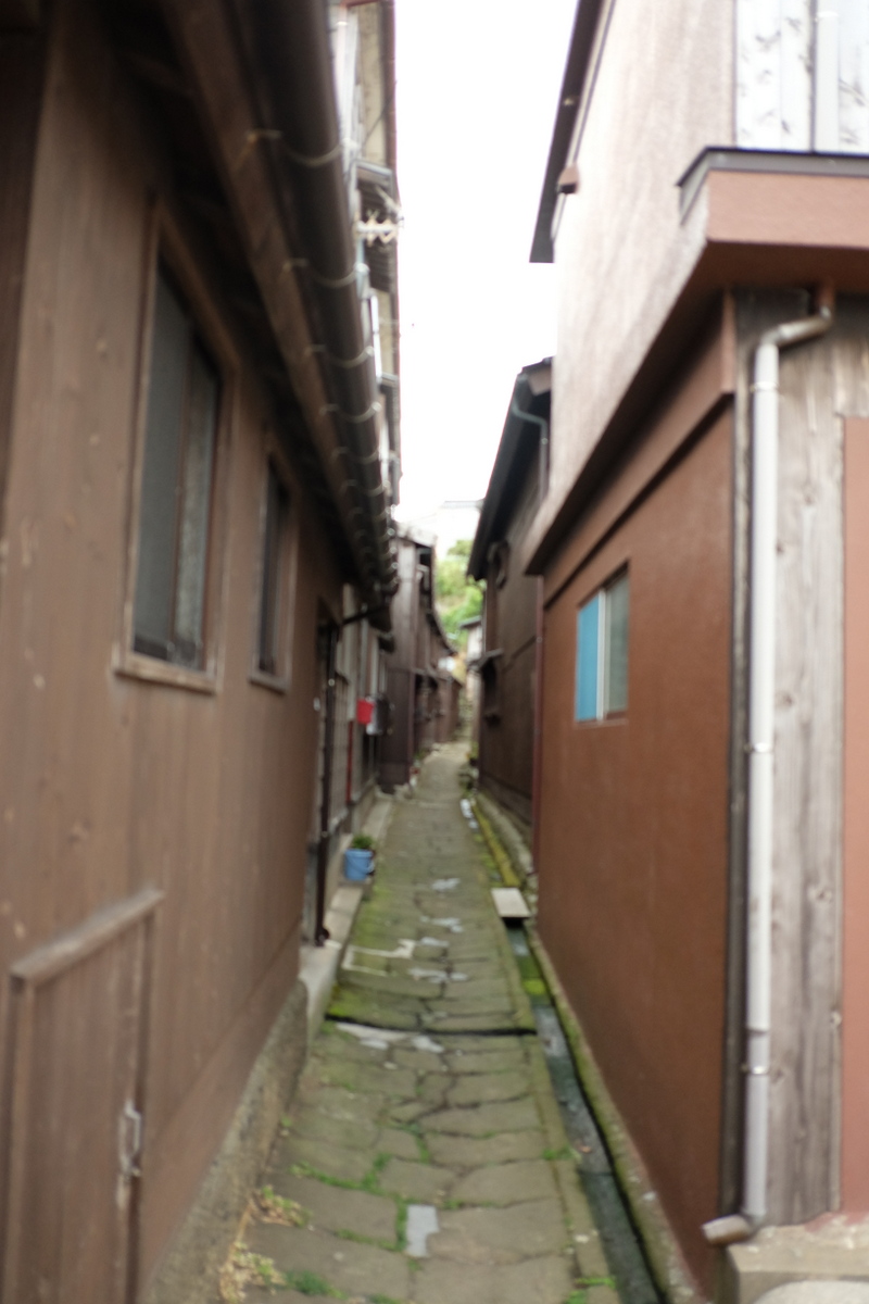 c0013687_1735691.jpg