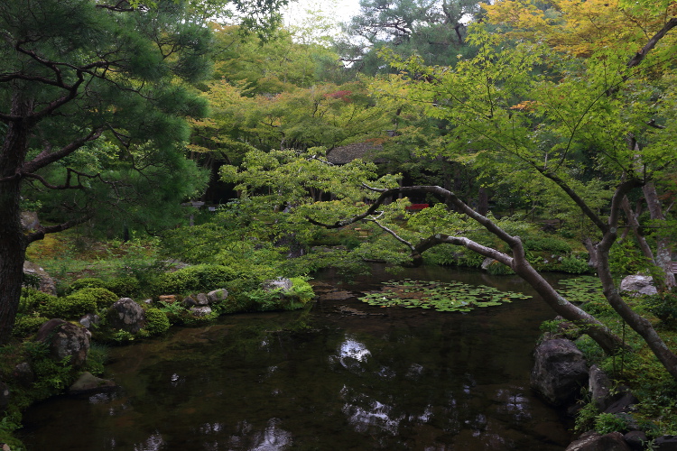 南禅寺　大寧軒_e0051888_4333890.jpg