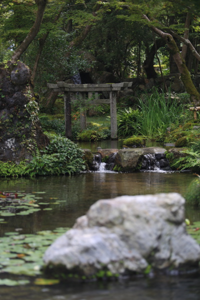 南禅寺　大寧軒_e0051888_4335280.jpg