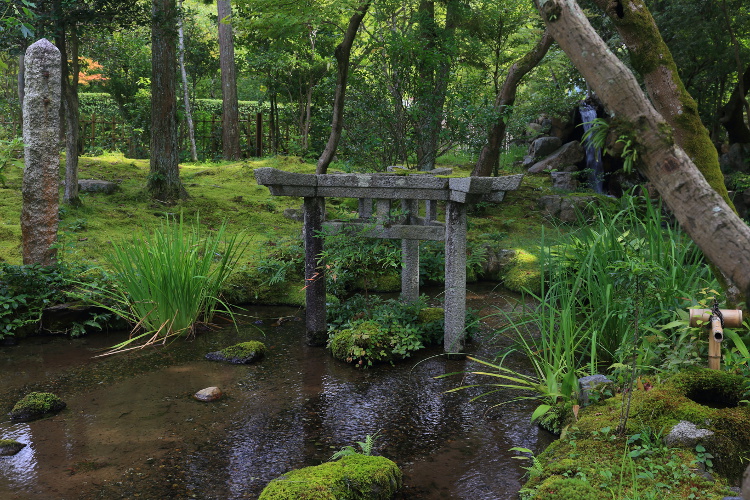 南禅寺 大寧軒_e0051888_4341859.jpg