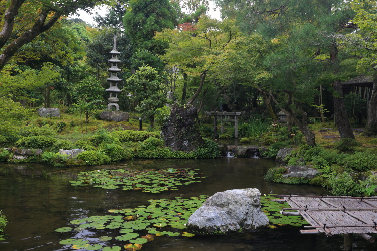 南禅寺 大寧軒_e0051888_434985.jpg