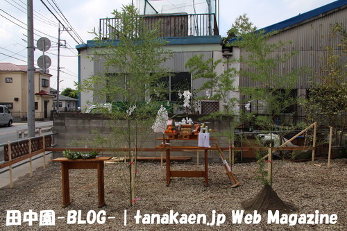 地鎮祭・・・_b0200291_0285621.jpg