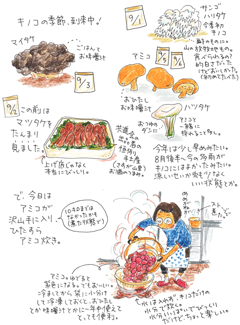 キノコの季節_f0236291_2391020.gif