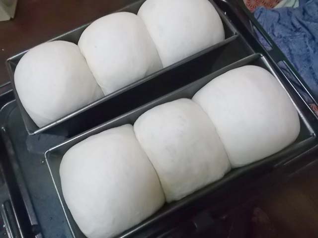 サンドイッチ用山型食パン★冷蔵庫の掃除_f0019498_1031571.jpg