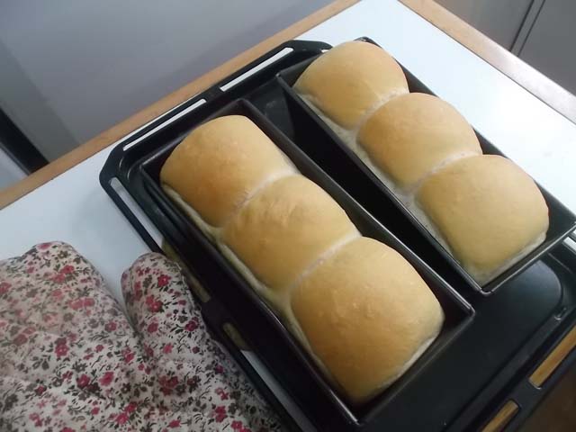 サンドイッチ用山型食パン★冷蔵庫の掃除_f0019498_10322368.jpg