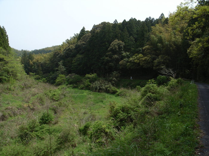 Shikoku Pilgrimage with Hana2, May.1st 2006 (3)_c0049299_2115364.jpg