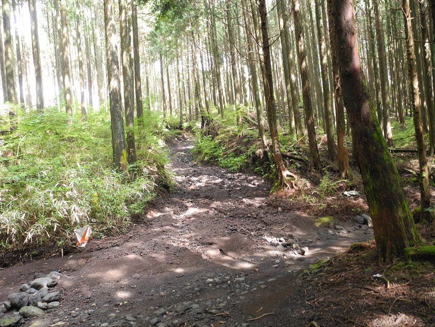a0158802_21284960.jpg