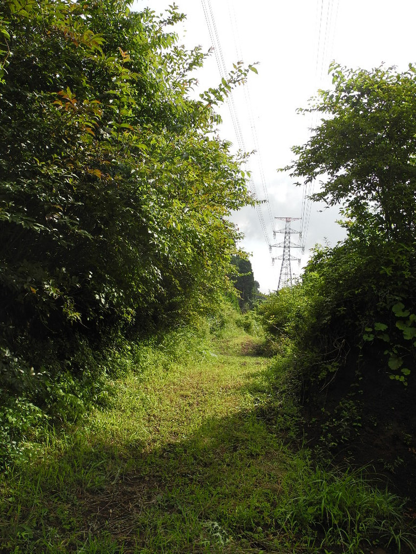 a0158802_2131521.jpg