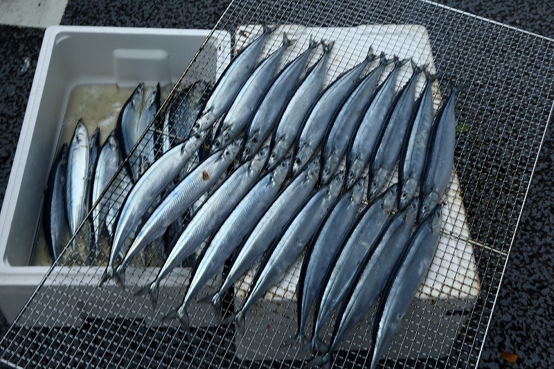 なに、日本橋魚河岸とな、それはいかん、サンマは目黒に限る_b0291402_07432602.jpg