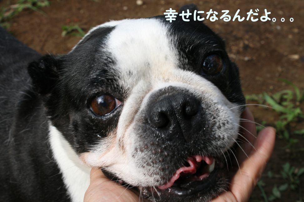 ViViちゃん 新生活再スタート!_f0242002_2154966.jpg