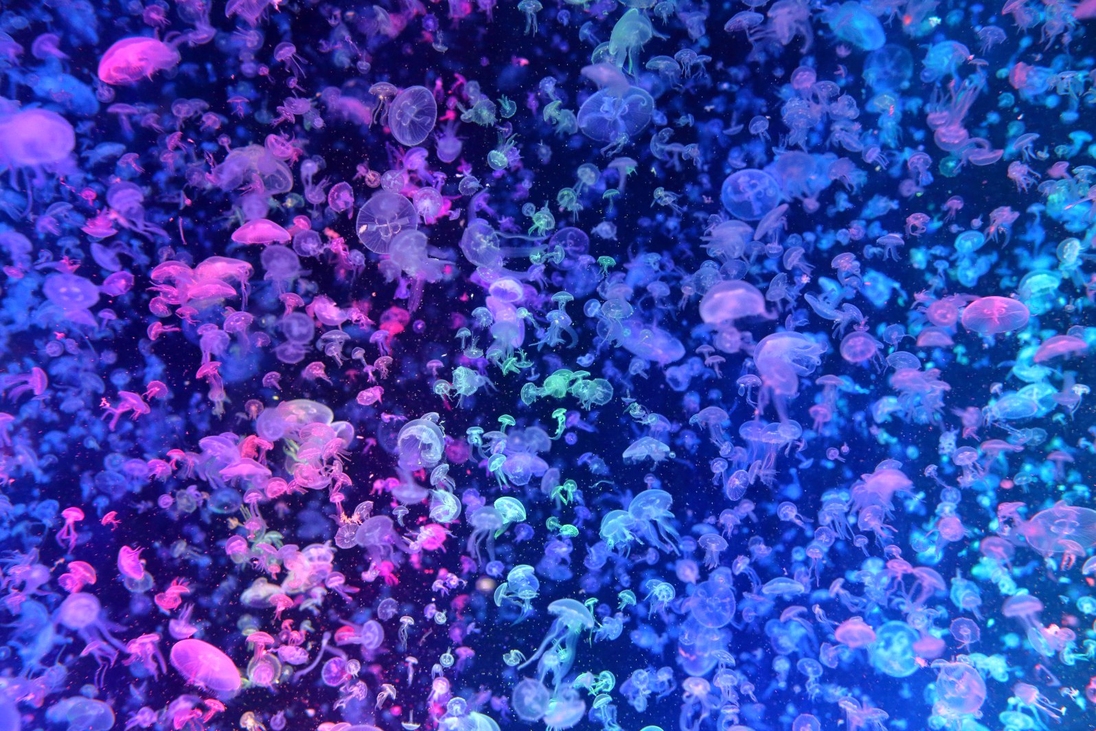 a0155104_141520.jpg