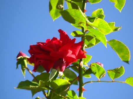 f0325309_09151933.jpg