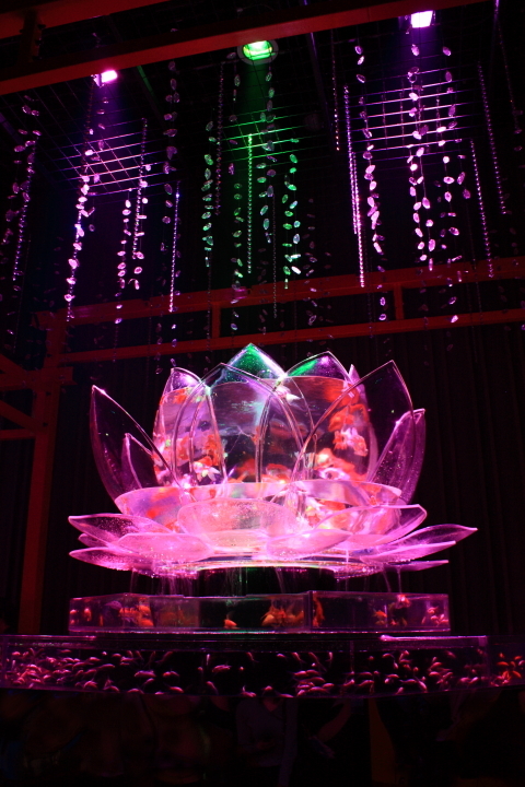 d0077811_20263885.jpg