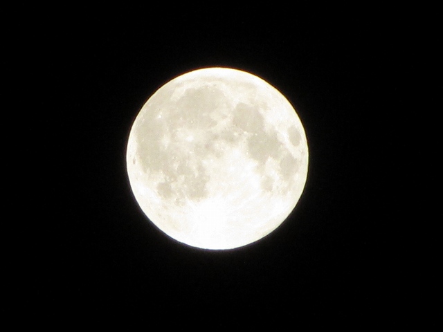 c0167813_6461536.jpg
