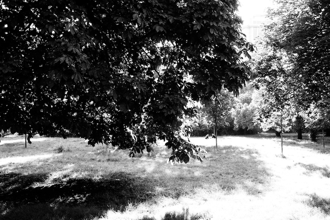 c0249519_70191.jpg