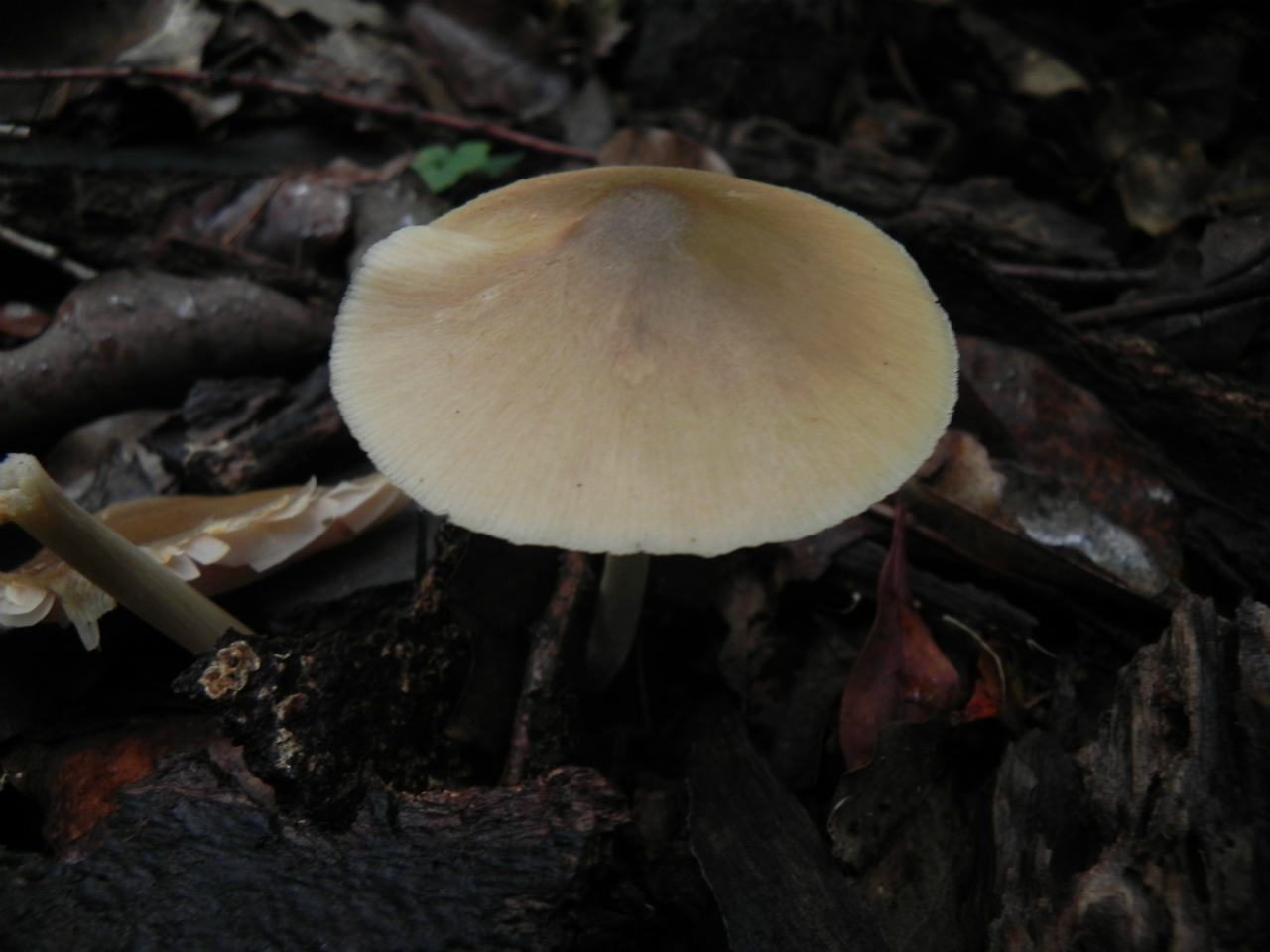 e0352220_21412666.jpg