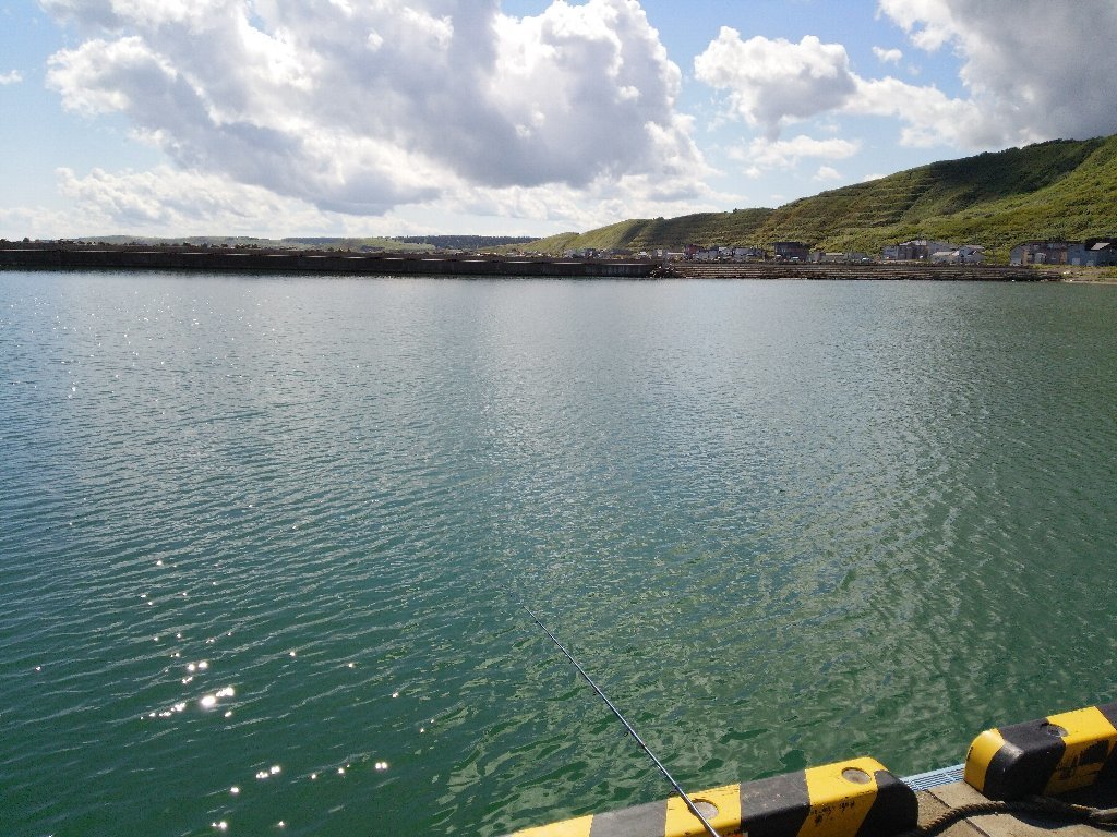 b0128821_17432872.jpg