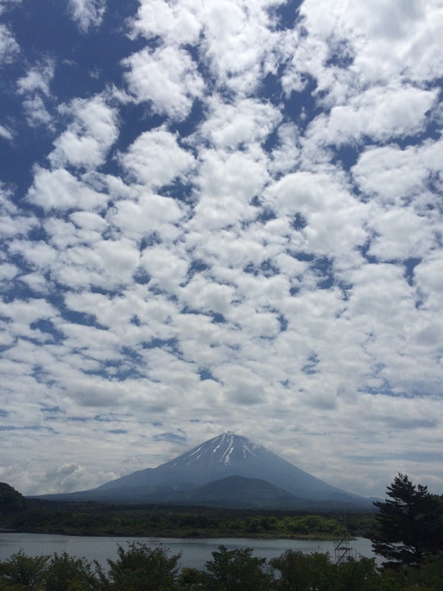 久々ブログアップその2_d0023725_17142042.jpg
