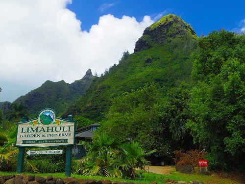 2015夏　Kauai島の旅11　～North Shoreへ_b0312126_22522729.jpg