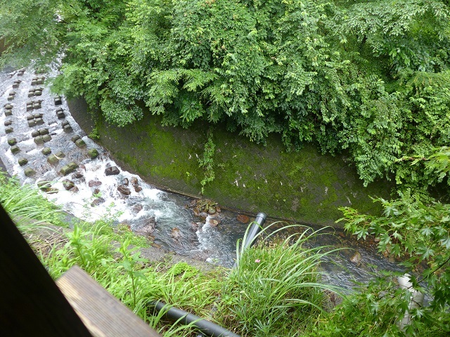 e0303726_19330231.jpg