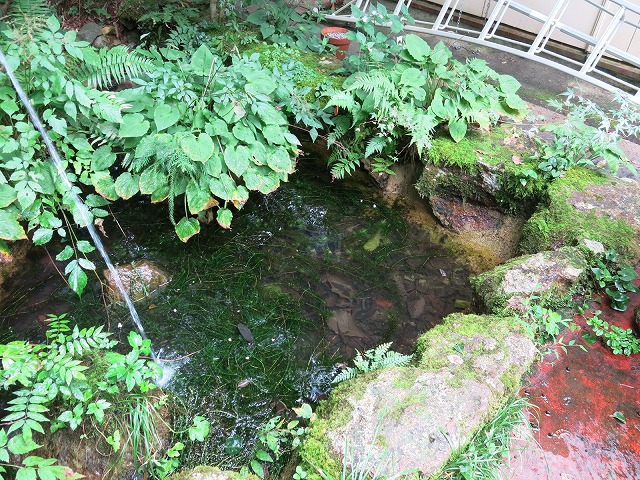 f0177529_14185659.jpg