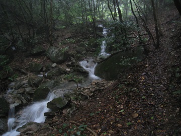 c0077338_2023552.jpg