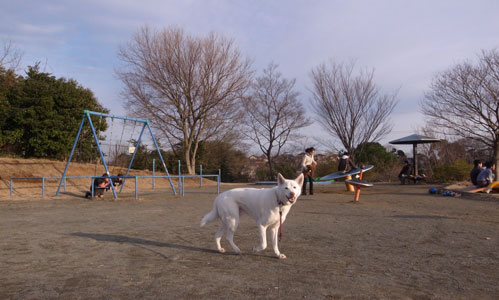 Vol.920 師岡町公園_a0117039_2339880.jpg